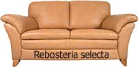 Rebosteria selecta 