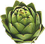 artichoke