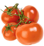 tomatoes